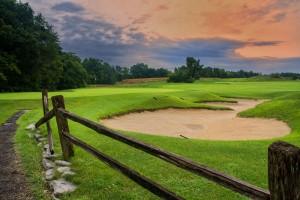 Hole 12 Green